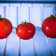 Imagen para el artículo titulado Por qué no deberías poner los tomates en la nevera